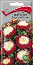 Семена Астры помпонной ПОИСК Превосходный Гасфорд 0,3 г, фотография