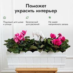 Ящик для цветов пластик 14 л. белый, крупный план