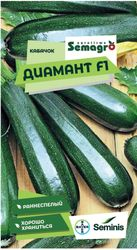 Семена кабачок SEMINIS ДИАМАНТ F1, крупный план