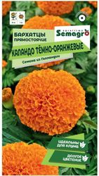 Семена Бархатца SEMAGRO прямостоячие Каландо темно-оранжевые 15 шт, картинка