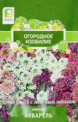 Семена ПОИСК Алиссум Акварель, 0,3г, крупный план