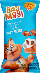Мороженое ВАУ МЯУ Двухслойное, сливочное и сливочное со вкусом крем-карамели в карамельной глазури 8%, без змж, эскимо, 65г, вид
