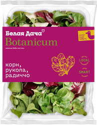 Смесь салатная БЕЛАЯ ДАЧА Botanicum, рукола, корн и радиччо, 75г, изображение