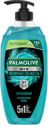 Гель для душа мужской PALMOLIVE Men Полярная свежесть 5в1, 750мл, фотография
