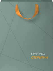 Пакет подарочный CITY HOME TRADE Special Men 22,7х18х10см, 1шт, детальное фото