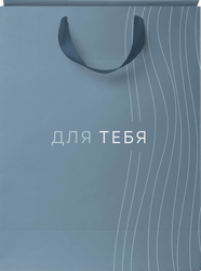 Изображение товара Пакет подарочный CITY HOME TRADE Basic Men 31,5х25,5х11см, 1шт