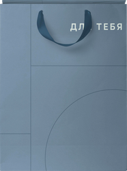 Пакет подарочный CITY HOME TRADE Basic Men 41х31х10см, 1шт, изображение