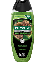 Гель для душа мужской PALMOLIVE Men 5в1 Кедр и кардамон, 500мл, изображение