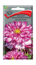 Космея Махровая кнопка Биколор Виолет 0,1гр, вид