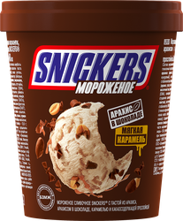 Мороженое SNICKERS Сливочное с пастой из арахиса, арахисом в шоколаде, карамелью и какаосодержащей прослойкой 8,5%, без змж, пластиковый стакан, 288г, вид