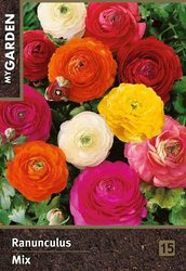 Луковицы MY GARDEN Лютик, микс, 15шт, фотография