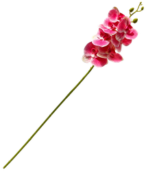 Цветы искусственные POETRY IN FLOWERS Орхидея Экстра галант h=60см d=8см, вид