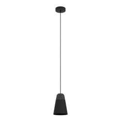 Cветильник EGLO Подвесной потолочный canterras, 1x40w, e27, h1100, d150, ста, вид