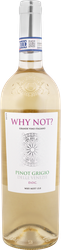 Вино WHY NOT Pinot grigio сортовое белое полусухое, 0.75л, крупный план