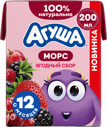 Морс ягодный АГУША Ягодный сбор, из винограда, клюквы, ежевики и клубники, с 12 месяцев, 200мл, картинка