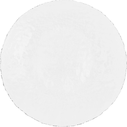 Тарелка обеденная BOR PASABAHCE Haze grey, Арт. 10381 G SL/St, фотография