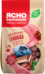 Гранола ЯСНО СОЛНЫШКО С голубикой и шоколадом, 250г, крупный план