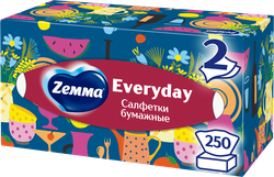 Салфетки бумажные ZEMMA Everyday 2 слоя, в коробке, 250шт, изображение