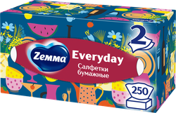 Салфетки бумажные ZEMMA Everyday 2 слоя, в коробке, 250шт, изображение