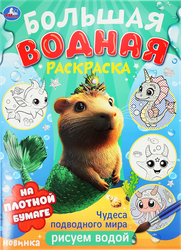Раскраска УМКА Большая водная, в ассортименте, изображение