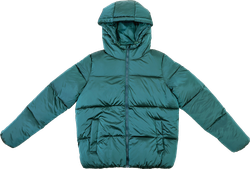 Куртка женская INWIN зеленая, Арт. AW25217-01, картинка