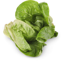 Салат листовой кочанный Литтл Джем, 150г, изображение