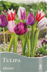Луковицы Тюльпан Пурпур 10/11, микс, Арт. TUL175, 8шт, вид