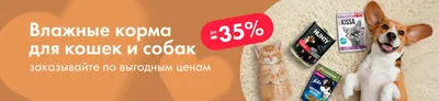 ЛН6 Влажный корм баннер каталога 1 ур. 07.05-20.05