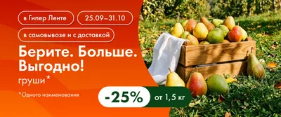 Берите. Больше. Выгодно! Груши 31.10