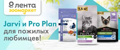 Jarvi и Pro Plan для пожилых любимцев