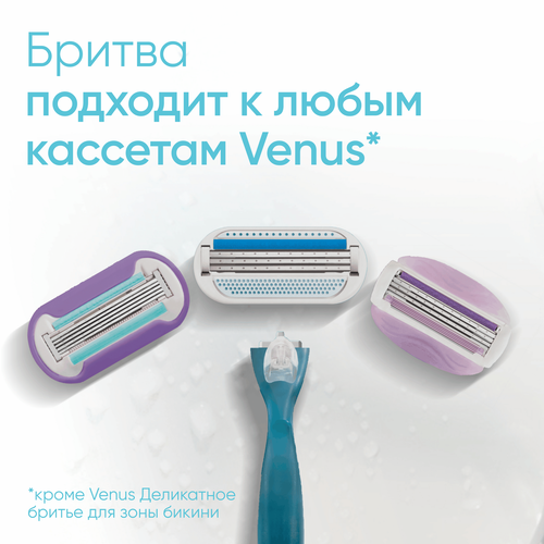 Кассеты сменные для бритья GILLETTE Venus Smooth, 2шт, вид