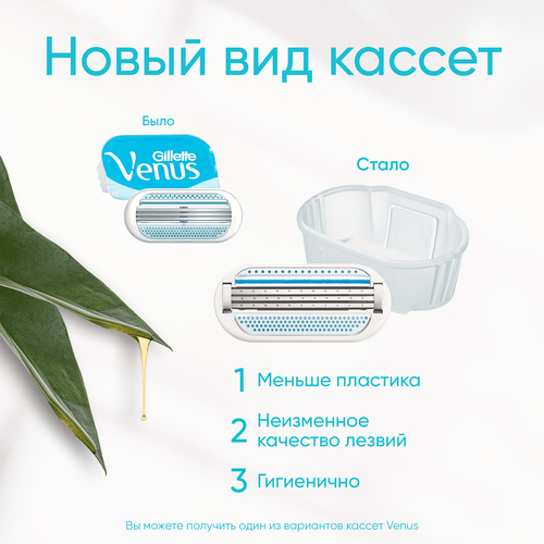 Кассеты сменные для бритья GILLETTE Venus Smooth, 2шт, картинка