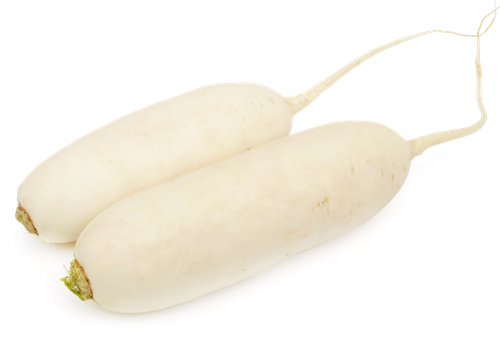Редька Дайкон, весовая, картинка