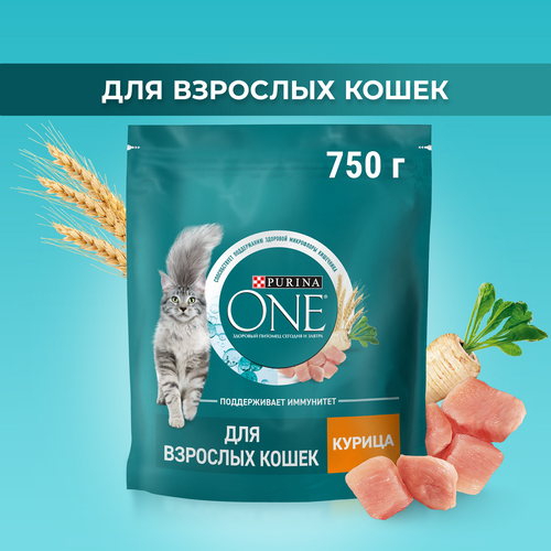 Корм сухой для взрослых кошек PURINA ONE с высоким содержанием курицы и цельными злаками, 750г, фото