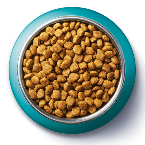 Корм сухой для взрослых кошек PURINA ONE с чувствительным пищеварением и разборчивым вкусом в еде, с высоким содержанием индейки и рисом, 750г, картинка