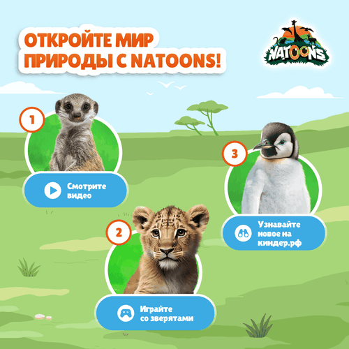 Яйцо шоколадное KINDER Сюрприз из молочного шоколада с игрушкой, в  ассортименте, 20г, вид