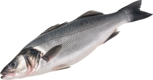 Сибас 300–600г ЛЕНТА FRESH, весовой, изображение