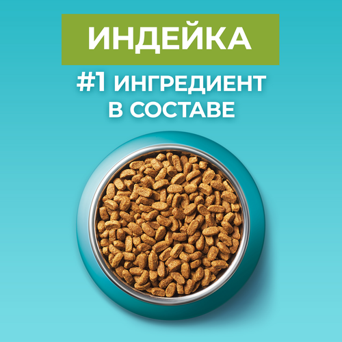 Корм сухой для взрослых кошек PURINA ONE живущих в домашних условиях, с высоким содержанием индейки и цельными злаками, 750г, фотография