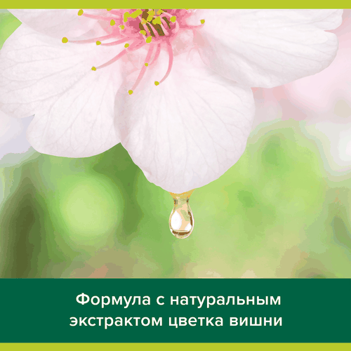 Туалетное мыло PALMOLIVE Натурэль Нежность и комфорт с экстрактом цветка вишни, 90г, фото