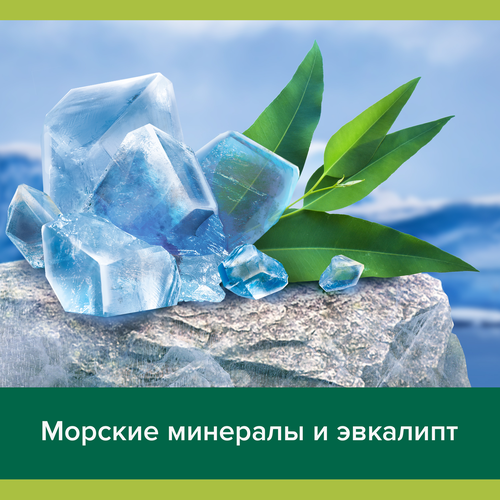 Гель для душа мужской PALMOLIVE Men Северный океан с морскими минералами 3в1, 750мл, вид