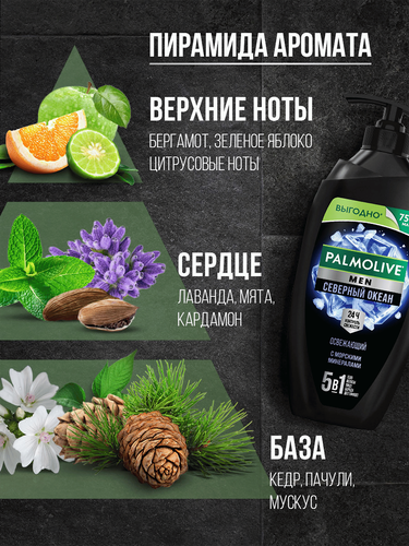 Гель для душа мужской PALMOLIVE Men Северный океан с морскими минералами 3в1, 750мл, вид