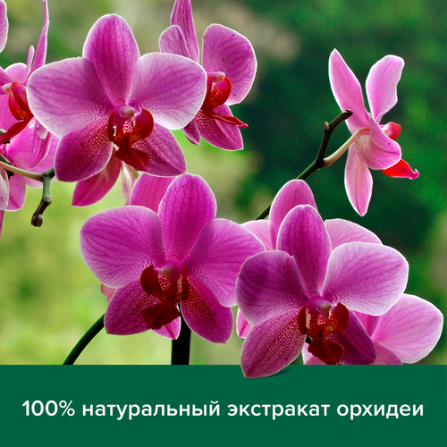 Гель-крем для душа PALMOLIVE Натурэль Роскошная мягкость Черная орхидея с увлажняющим молочком, 250мл, фото