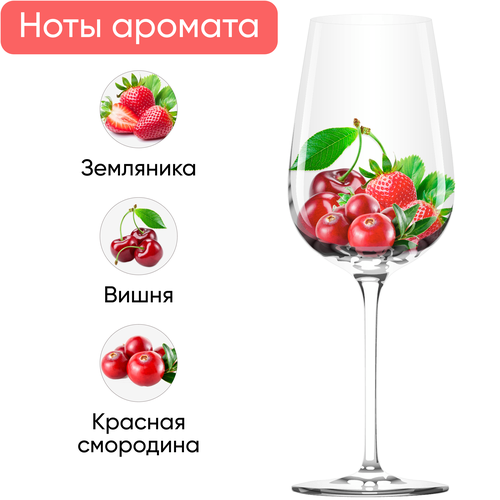 Вино игристое RIUNITE Ламбруско Розе Эмилия IGT жемчужное розовое полусладкое, 0.75л, фотография