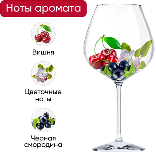 Вино SANTA CRISTINA Тоскана ординарное красное сухое, 0.75л, детальное фото
