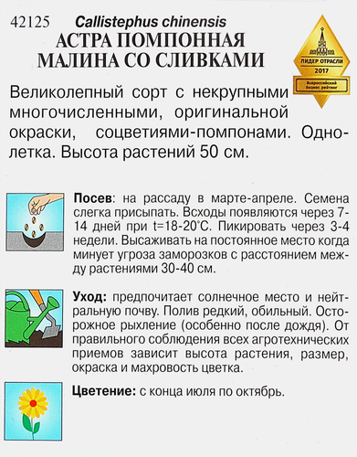 Семена ДОМ СЕМЯН Астра помпонная Малина со сливками, 0,3г, изображение