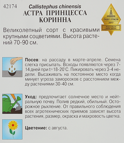 Семена Астра Принцесса Коринна, белая, 0,3г, крупный план