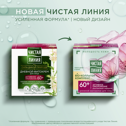 Крем дневной для лица ЧИСТАЯ ЛИНИЯ Таволга и калина от 60 лет, 45мл, фото