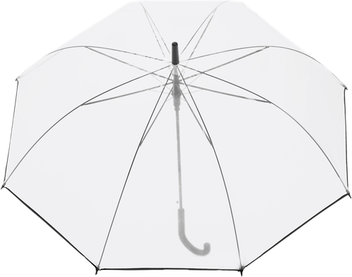 Зонт женский RAINDROPS трость, Арт. RD-42800, вид