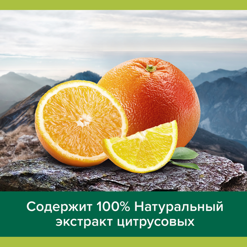 Гель для душа мужской PALMOLIVE Men Спорт Восстанавливающий 3в1, 750мл, крупный план