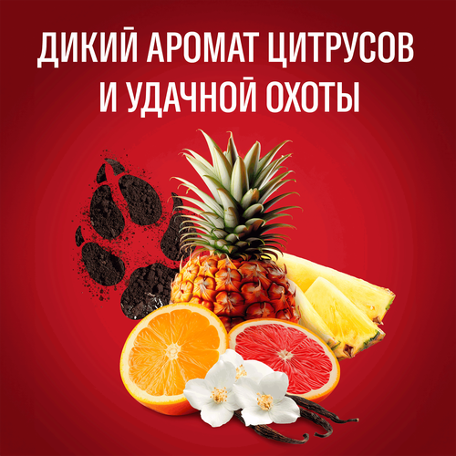 Дезодорант-стик мужской OLD SPICE Wolfthorn, 50мл, вид